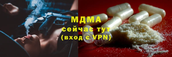 шишки Надым
