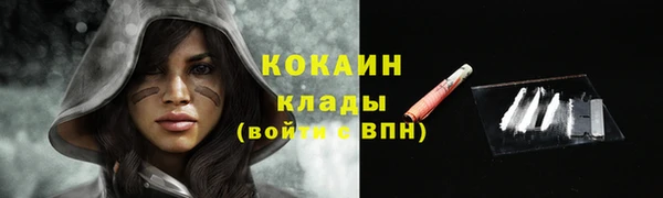 шишки Надым